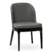 Grace Modern Beechwood Chair in Black Finish