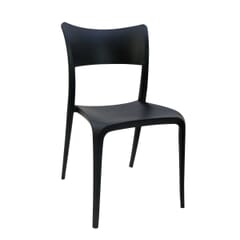 Contemporary Resin Indoor/Outdoor Chair in Black